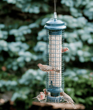 Squirrel Solution® 150