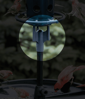 Pole Adaptor for the Squirrel Buster® Plus