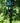 Pole Adaptor for the Squirrel Buster® Plus