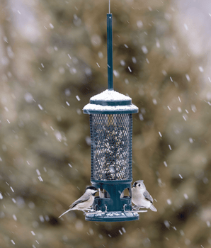 Squirrel Buster® Standard