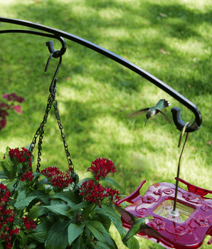 BirdsUP™ Hanging Bracket