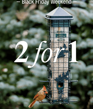 Squirrel Solution 200 – Black Friday 2-Pack Promo*