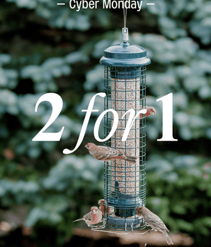 Squirrel Solution® 150 — Cyber Monday 2-Pack Promo*