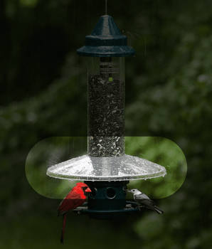 Accessories for the Squirrel Buster Plus – BROME US