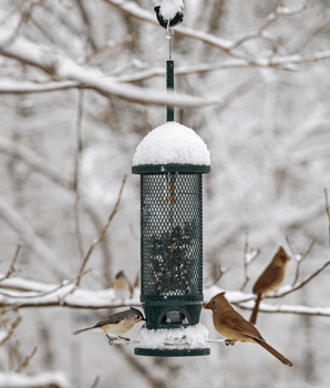 Squirrel Buster® Legacy