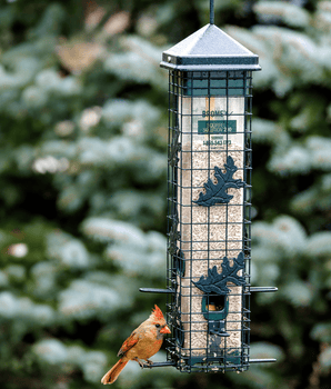 Squirrel Solution® 200