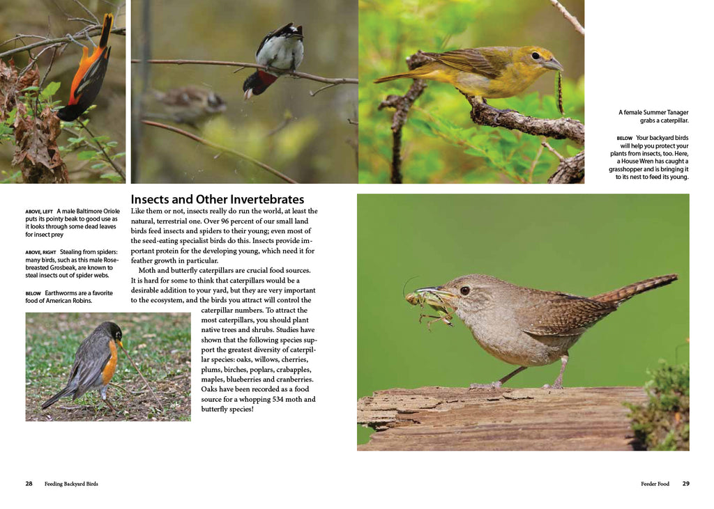 Feed the Birds: Attract and Identify 196 Common North American Birds [Book]