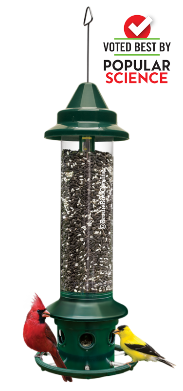 Brome bird feeder deals